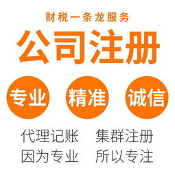 東莞虎門專業(yè)代辦服務 營業(yè)執(zhí)照辦理與代理記賬一站式解決方案